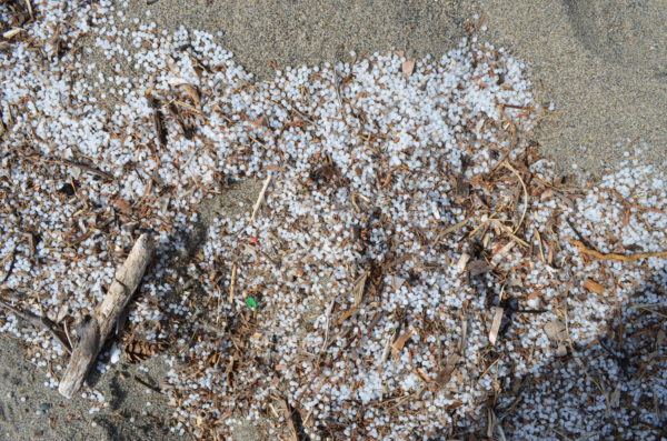 Nurdles in Nipigon Bay: Local Microplastics Concerns