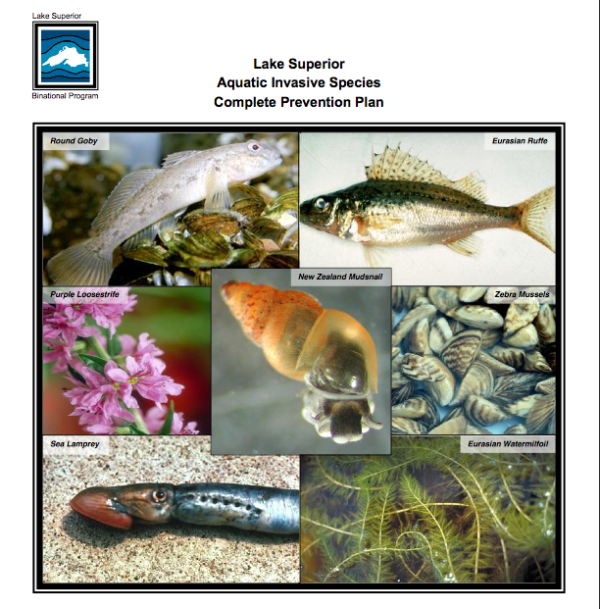 Aquatic Invasive Species Week - Tips, Info, and News