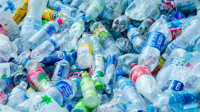Waste single-use plastic bottles.
