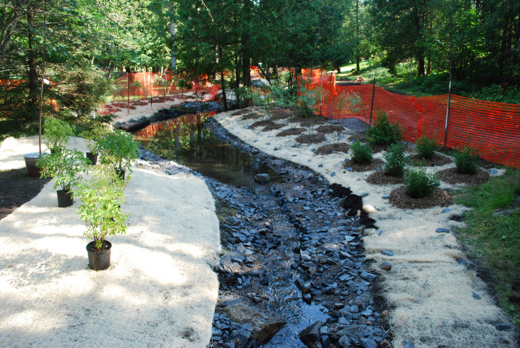 The remediation of George Creek at Centennial Park was one of the projects funded by the Great Lakes Gaurdian Fund last year.