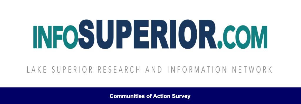 InfoSuperior Survey