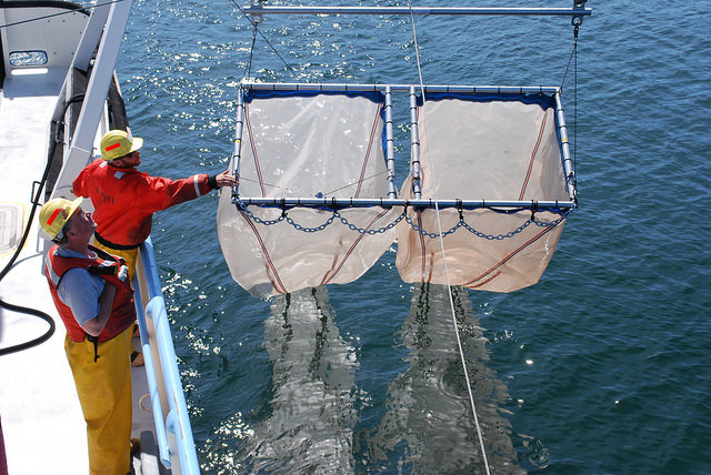 Lake Superior Phytoplankton Monitoring