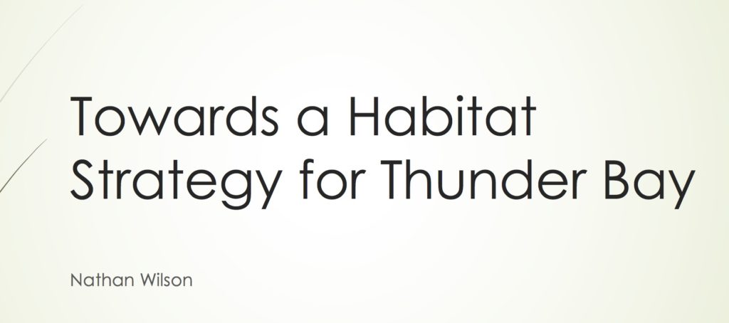 Draft Habitat Strategy