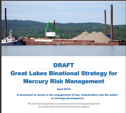 Great Lakes Binational Strategy for Mercury Risk Management
